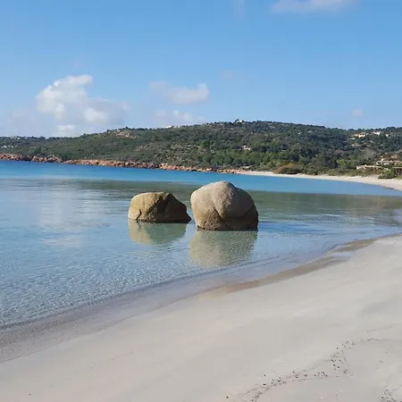 Locations Rocca Rossa Palombaggia Classees 3 Etoiles פורטו-וישיו